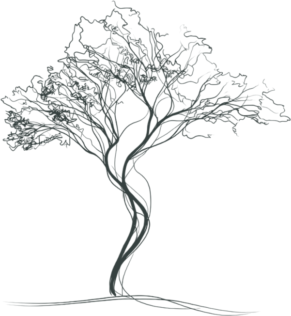 primary tree vector